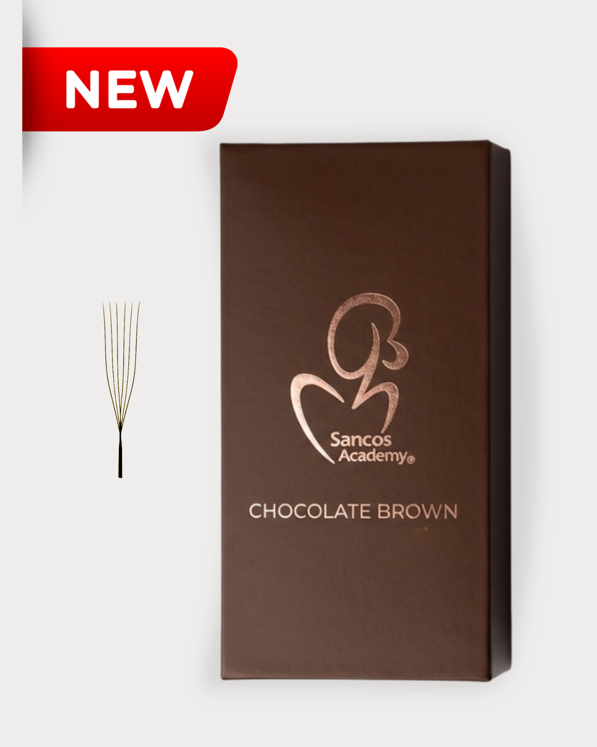 Cutie Chocolate Brown si evantai de extensii gene premade 6D Forma U maro, produs nou, lash artist Sancos Academy