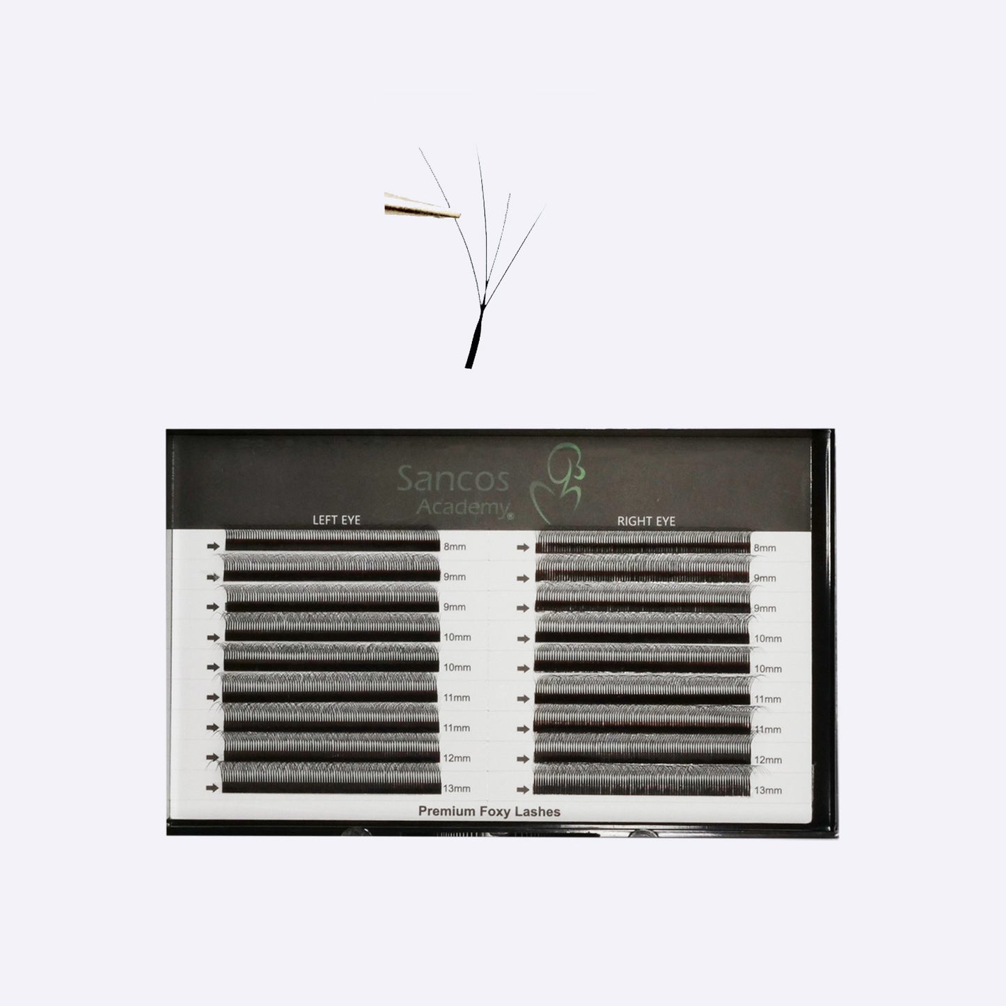 Extensii de Gene FOXY 4D Tip W – 18 Linii