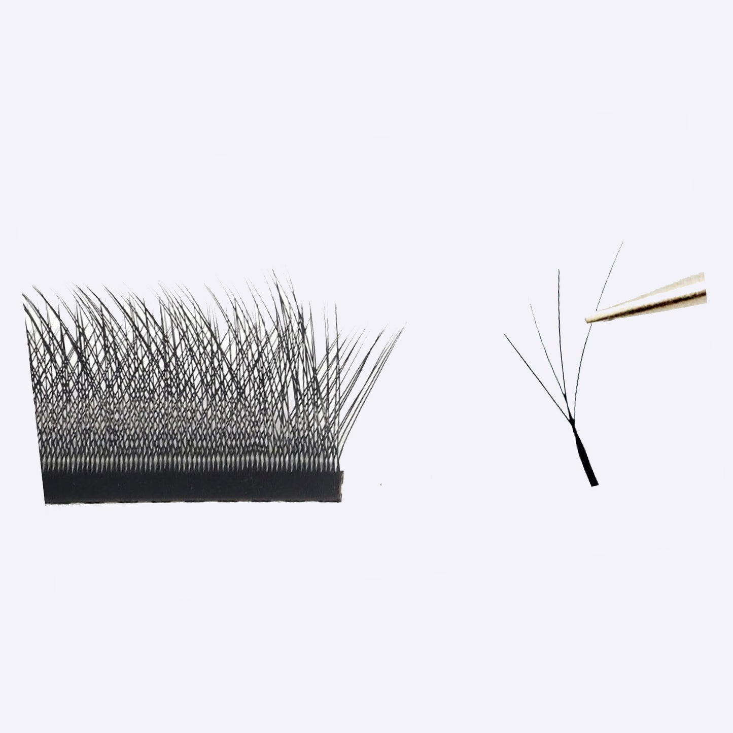 Extensii de Gene FOXY 4D Tip W – 18 Linii