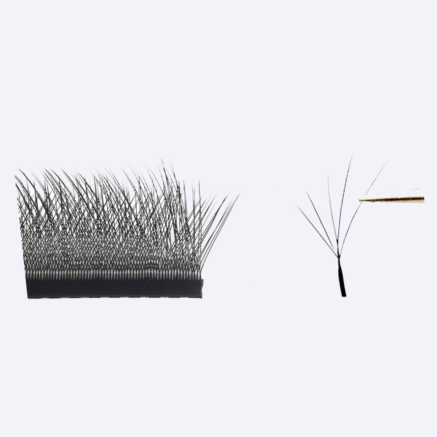 Extensii de Gene FOXY 5D Tip W – 18 Linii