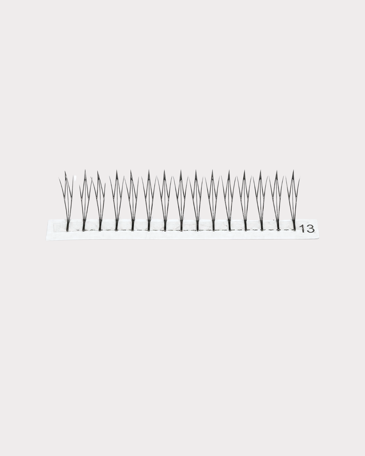 Extensii de Gene Speciale | Tip D