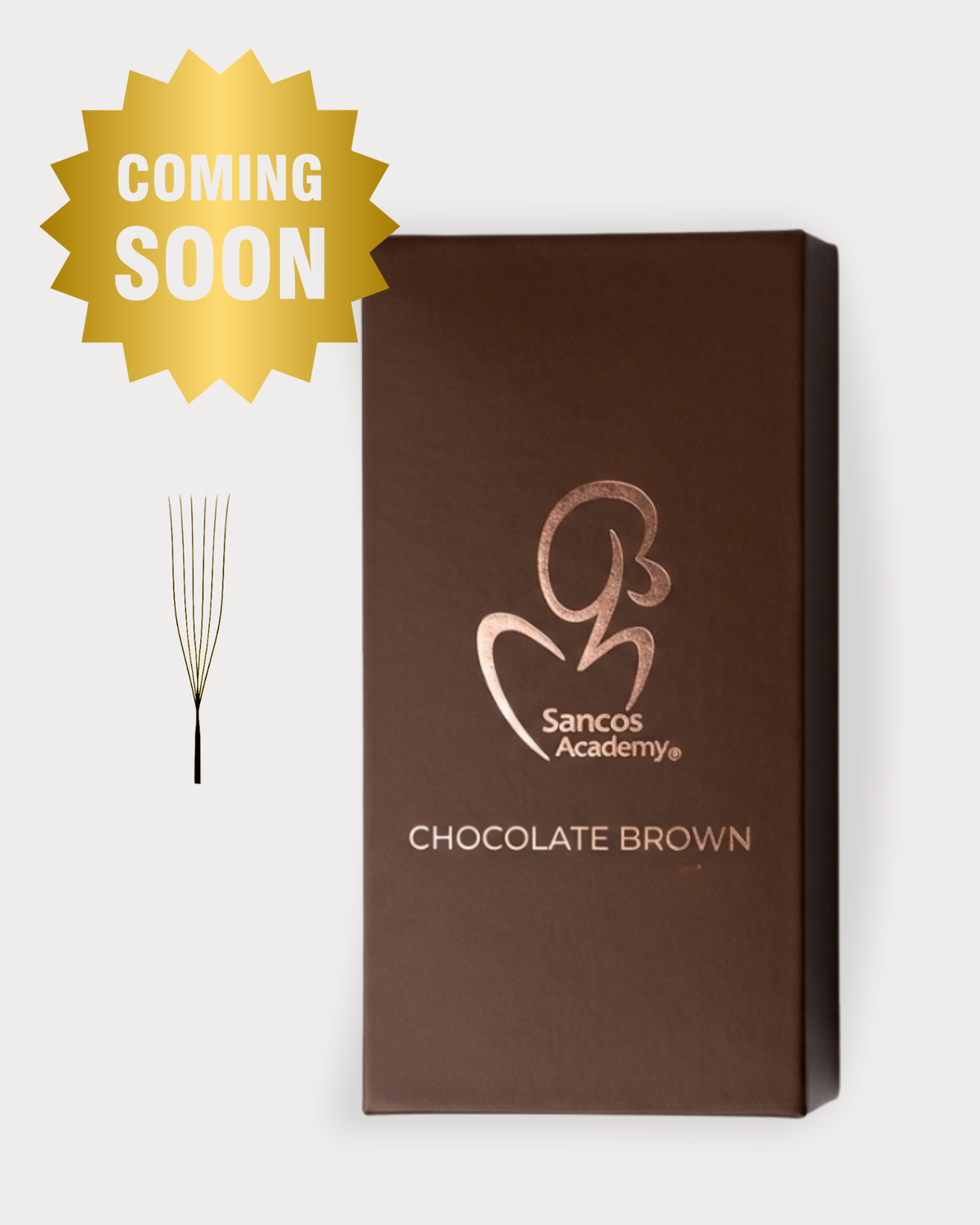 Cutie Chocolate Brown si evantai de extensii gene premade 6D Forma U maro, Coming Soon, lash artist Sancos Academy