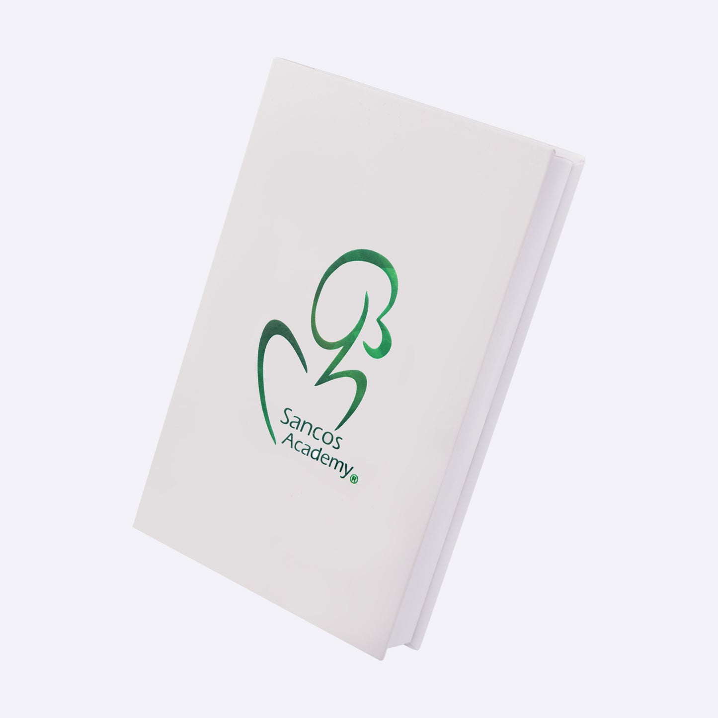Extensii de Gene Premade 2D – 1000 Buchețele, Mix