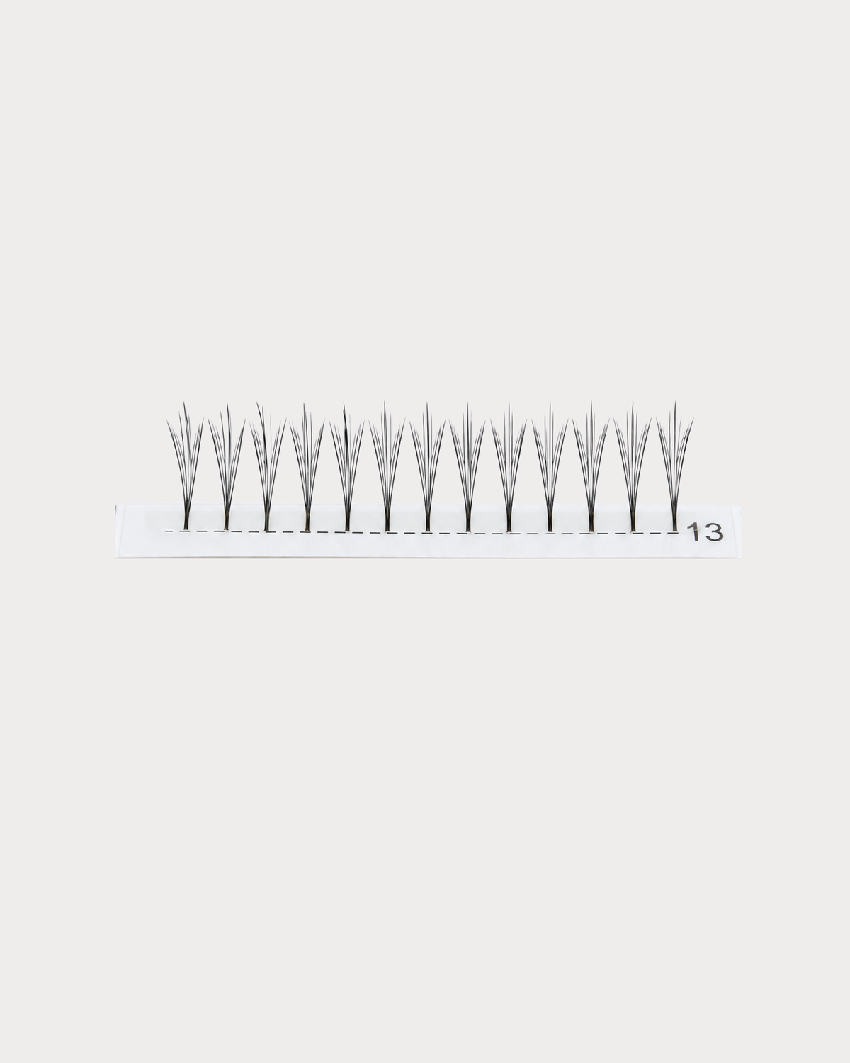Extensii de Gene Speciale | Tip G