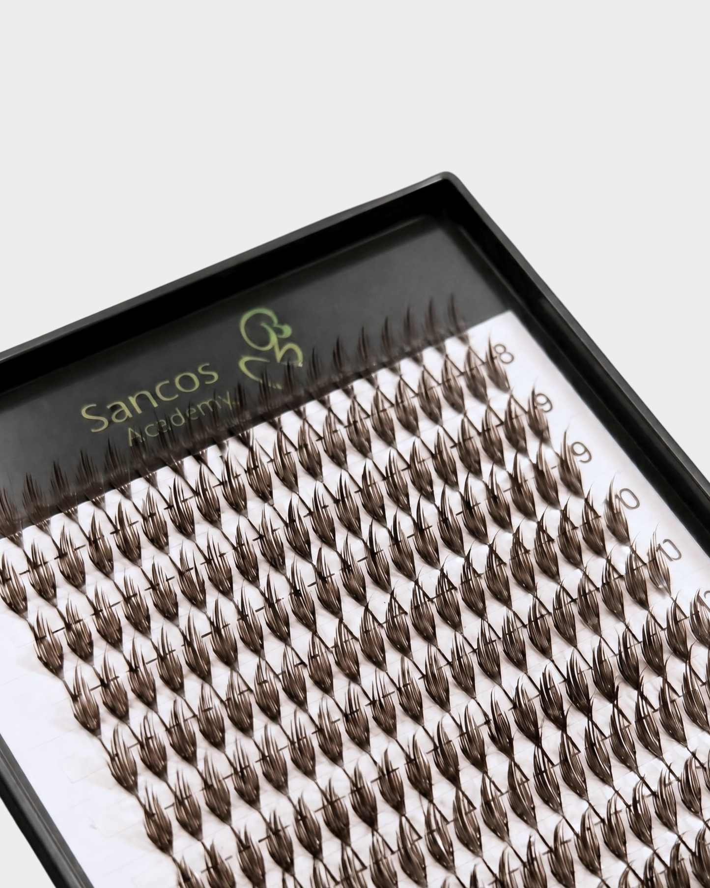 Extensii Gene  Speciale | Tip Pană A MARO